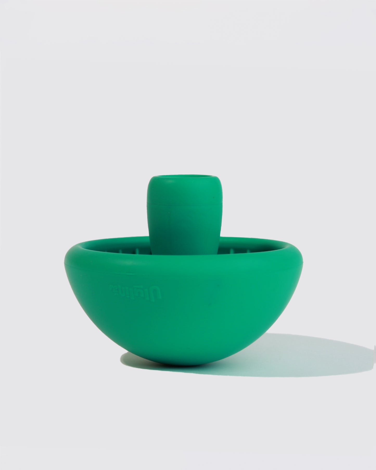 Mushroom, Enrichment Bowl