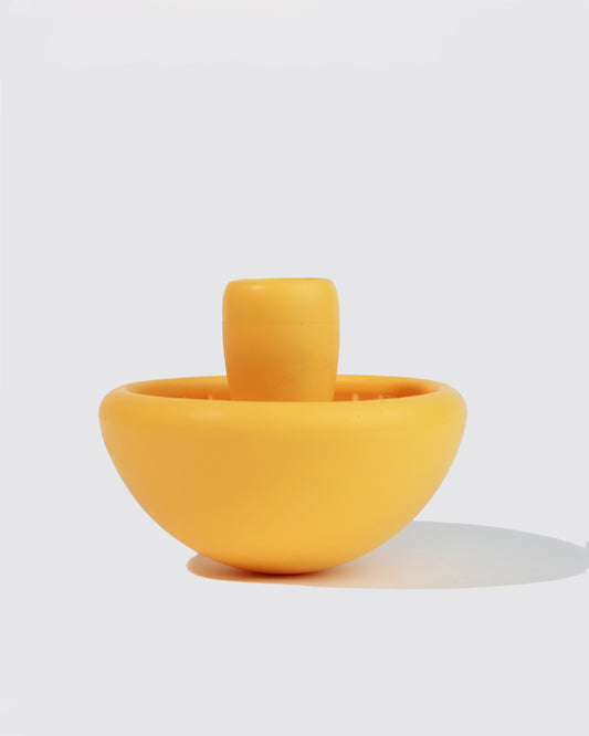 Mushroom, Enrichment Bowl