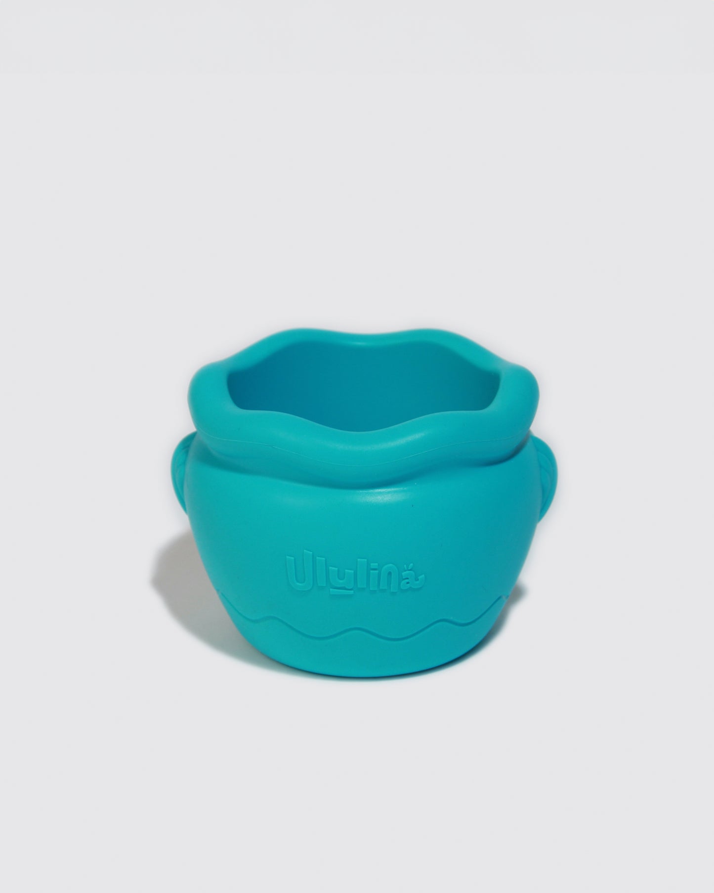 Terracotta Pot, Enrichment Bowl