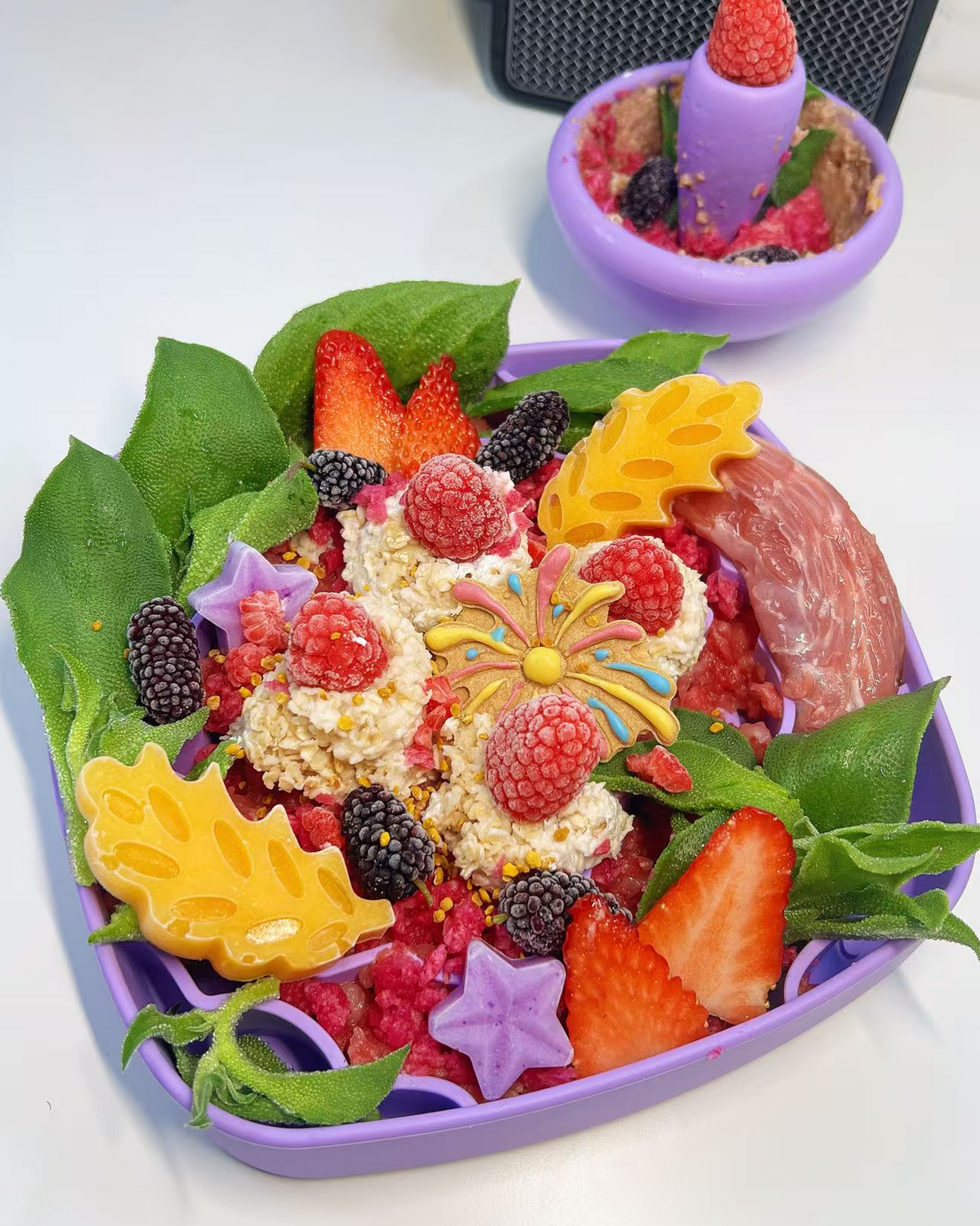 Maiolica, Slow Feeding Bowl