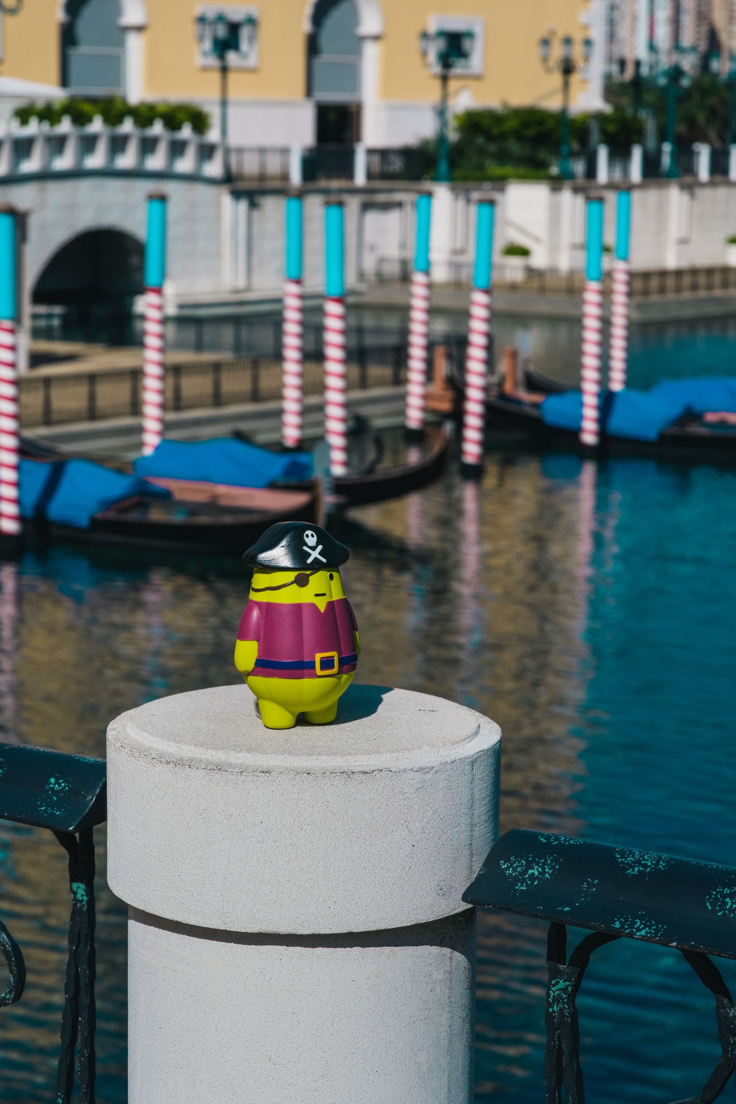 Pirate Cactus, Sounder Toy