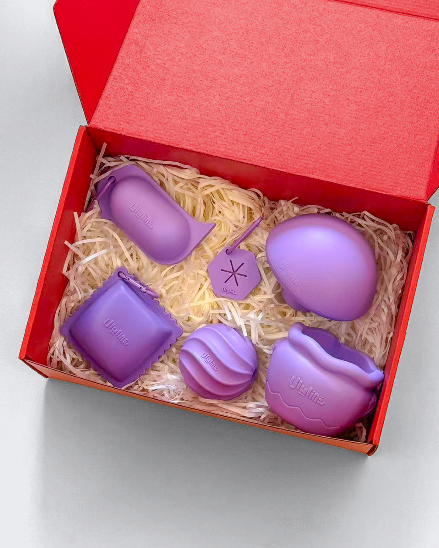 Gift Box di Natale – Viola