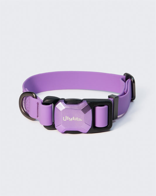 Tratto, Dog Collar